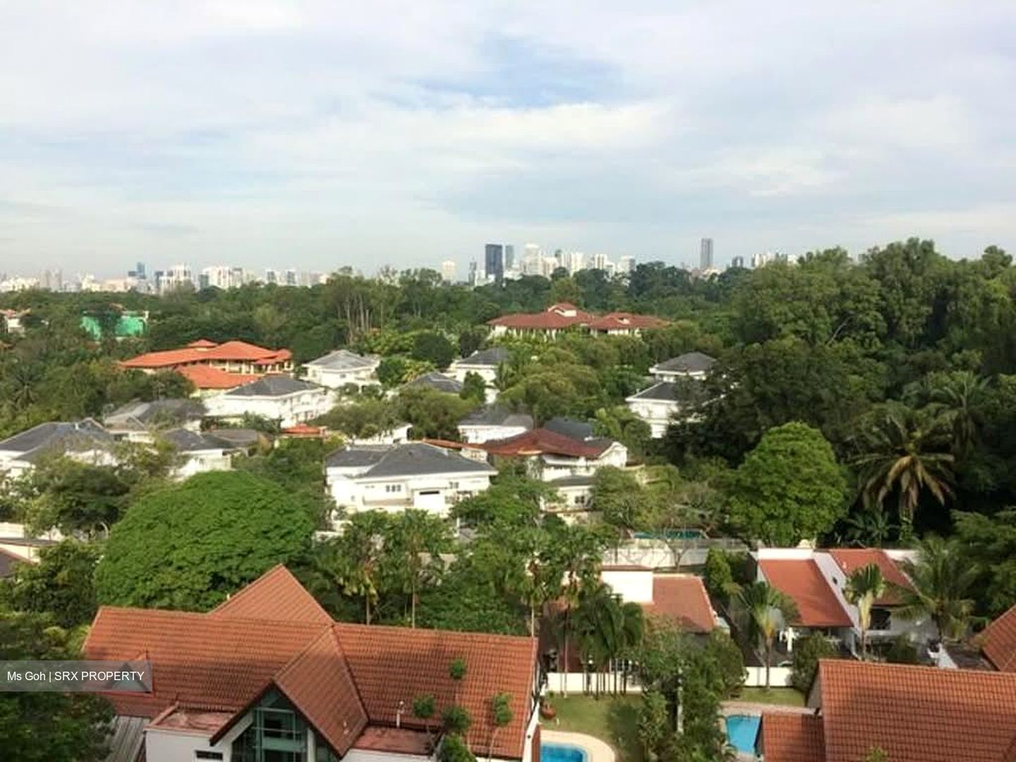 Rochalie Drive (D10), Detached #588859791